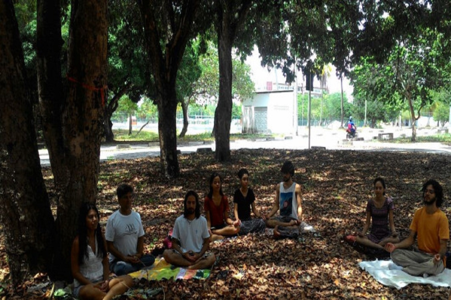 Ação realizada antes da pandemia no campus de São Cristóvão. (foto: arquivo pessoal)